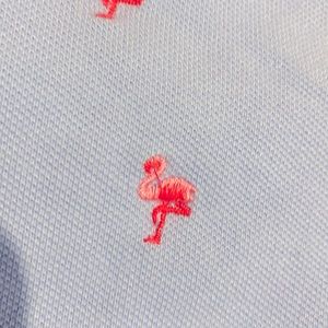 Polo knit flamingo shorts